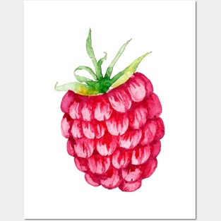 Raspberry Watercolour Posters and Art